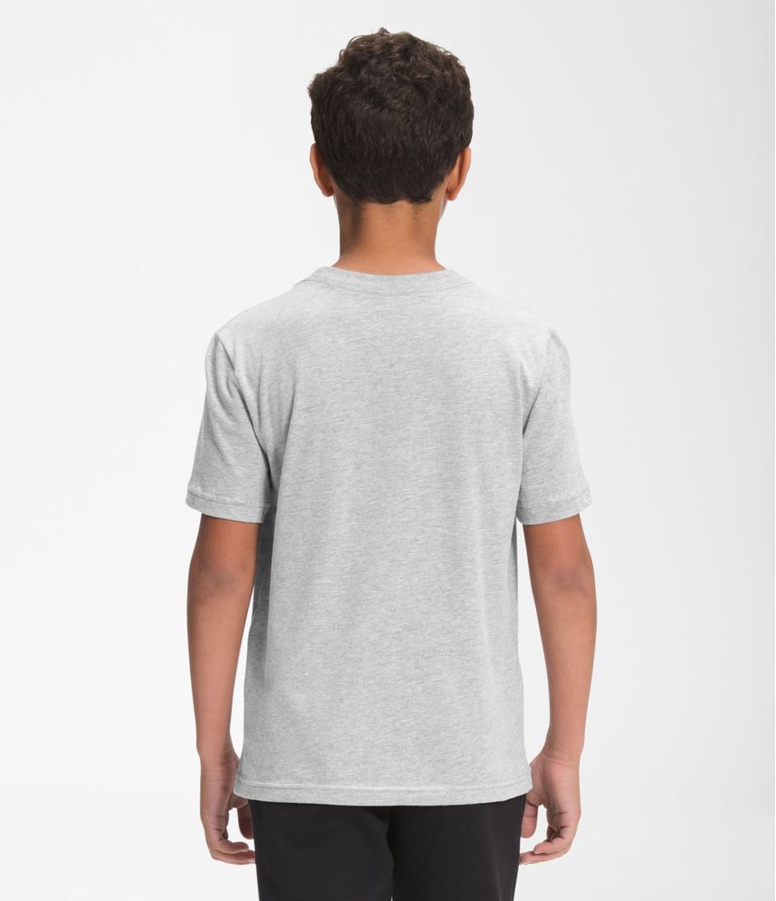 camiseta-graphic-tee-manga-corta-gris-niño-the-north-face