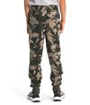 Pantalones-Printed-Camp-Flee-Jogger-Verde-Niño-The-North-Face-S-REG