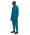 Buzo-Coordinates-Pullover-Hombre-Azul-The-North-Face