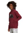 Buzo-Camp-Fleece-P-O-Deportivo-Vinotinto-Niño-The-North-Face