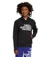 Buzo-Camp-Fleece-P-O-Deportivo-Negro-Niño-The-North-Face