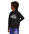 Buzo-Camp-Fleece-P-O-Deportivo-Negro-Niño-The-North-Face