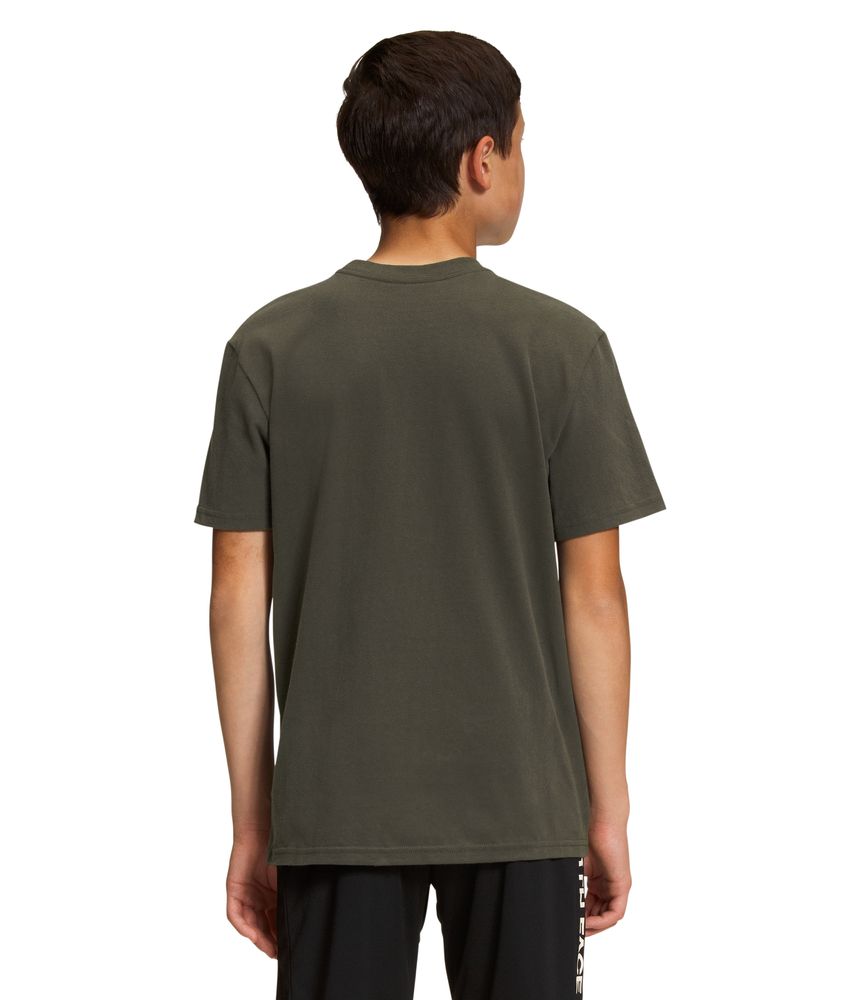 Camiseta-Graphic-Tee-Manga-Corta-Verde-Niño-The-North-Face