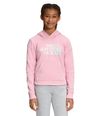Buzo-Camp-Fleece-P-O-Rosado-Niña-The-North-Face
