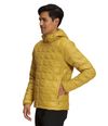 Chaqueta-Thermoball-Eco-Hoodie-2.0-Amarilla-Hombre-The-North-Face-L