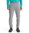 Pantalones-Wander-Deportivo-Gris-Hombre-The-North-Face