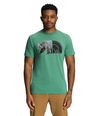 Camiseta-S-S-Triblend-Bear-Tee-Verde-Hombre-The-North-Face