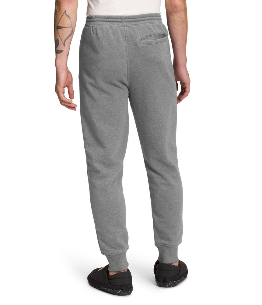 Pantalones-Box-Nse-Jogger-Gris-Hombre-The-North-Face