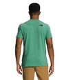 Camiseta-S-S-Triblend-Bear-Tee-Verde-Hombre-The-North-Face