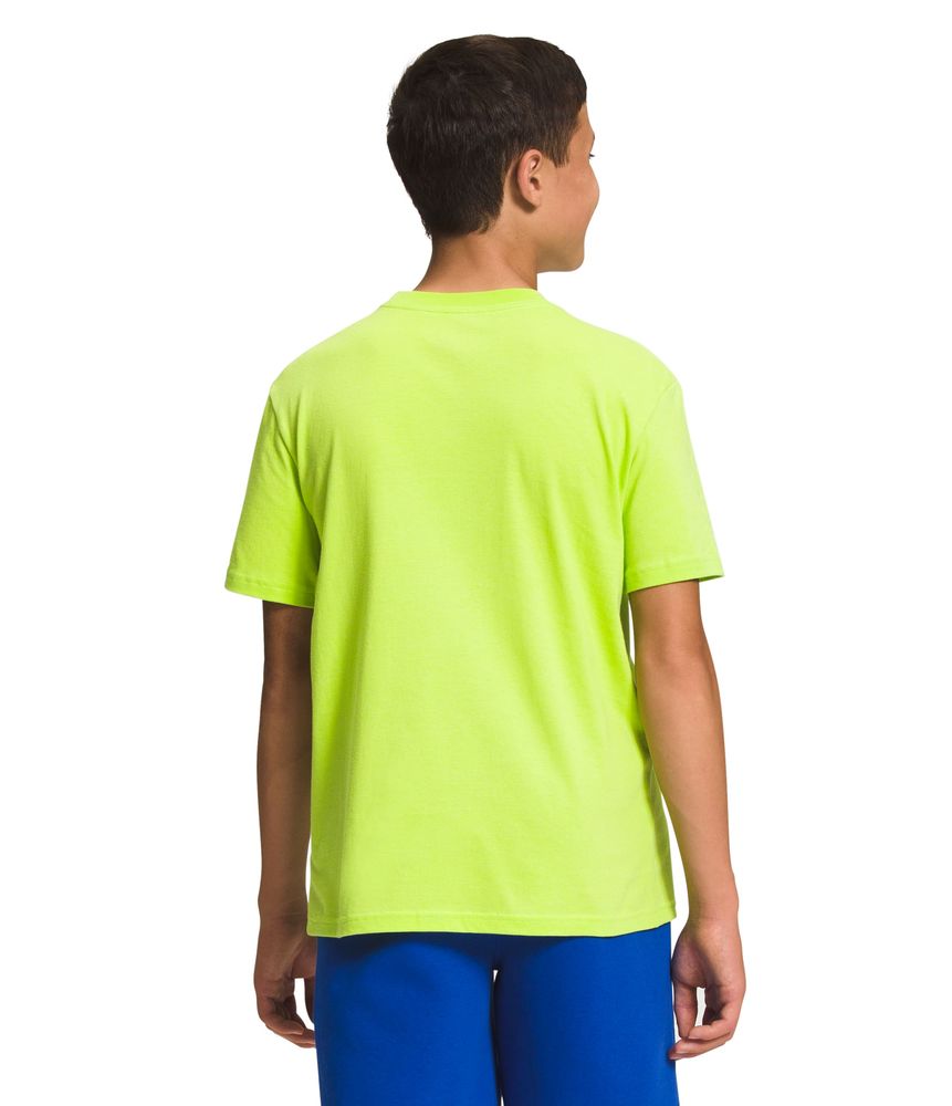 Camiseta-Graphic-Tee-Manga-Corta-Verde-Niño-The-North-Face