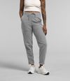 Pantalon-Alpine-Polartec-100-Gris-Mujer-The-North-Face