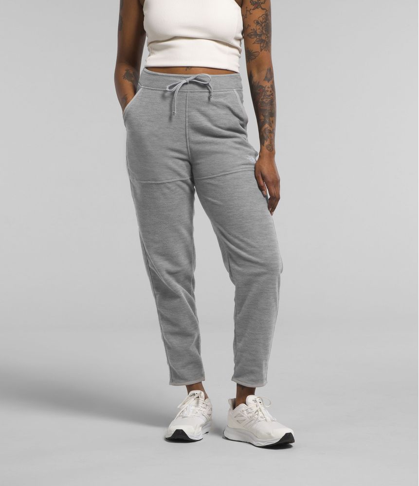 Pantalon-Alpine-Polartec-100-Gris-Mujer-The-North-Face