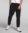 Pantalon-Alpine-Polartec-100-Negro-Hombre-The-North-Face