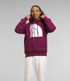 Buzo-Jumbo-Half-Dome-Morado-Hombre-The-North-Face