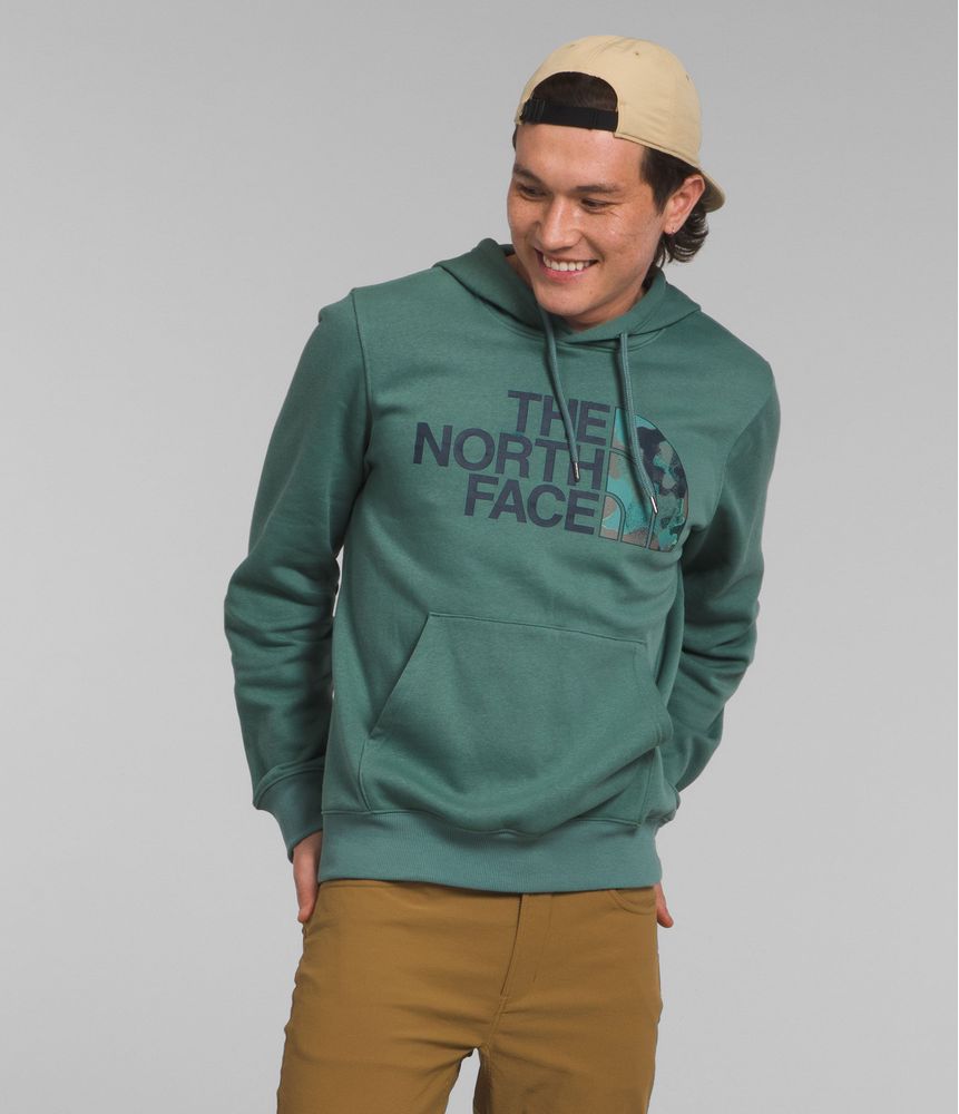Buzo-Half-Dome-Pullover-Hoodie-Verde-Hombre-The-North-Face