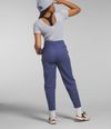 Pantalon-Alpine-Polartec-100-Azul-Mujer-The-North-Face