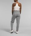 Pantalon-Alpine-Polartec-100-Gris-Mujer-The-North-Face