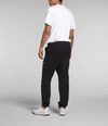 Pantalon-Alpine-Polartec-100-Negro-Hombre-The-North-Face