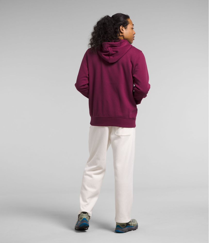 Buzo-Jumbo-Half-Dome-Morado-Hombre-The-North-Face