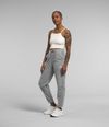 Pantalon-Alpine-Polartec-100-Gris-Mujer-The-North-Face