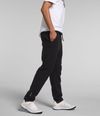 Pantalon-Alpine-Polartec-100-Negro-Hombre-The-North-Face