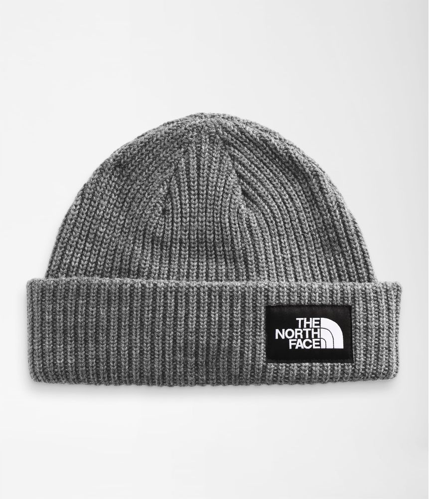 Gorro-Salty-Dog-Lined-Beanie-Gris-Unisex-The-North-Face