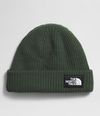Gorro-Salty-Dog-Lined-Beanie-Verde-Unisex-The-North-Face