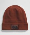 Gorro-Dock-Worker-Recycled-Beanie-Cafe-Unisex-The-North-Face
