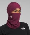 Pasamontañas-Futurefleece-Balaclava-Morado-Unisex-The-North-Face