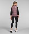 Chaleco-Canyonlands-Hybrid-Vest-Morado-Mujer-The-North-Face