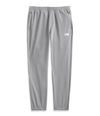 Pantalones-Wander-Deportivo-Gris-Hombre-The-North-Face