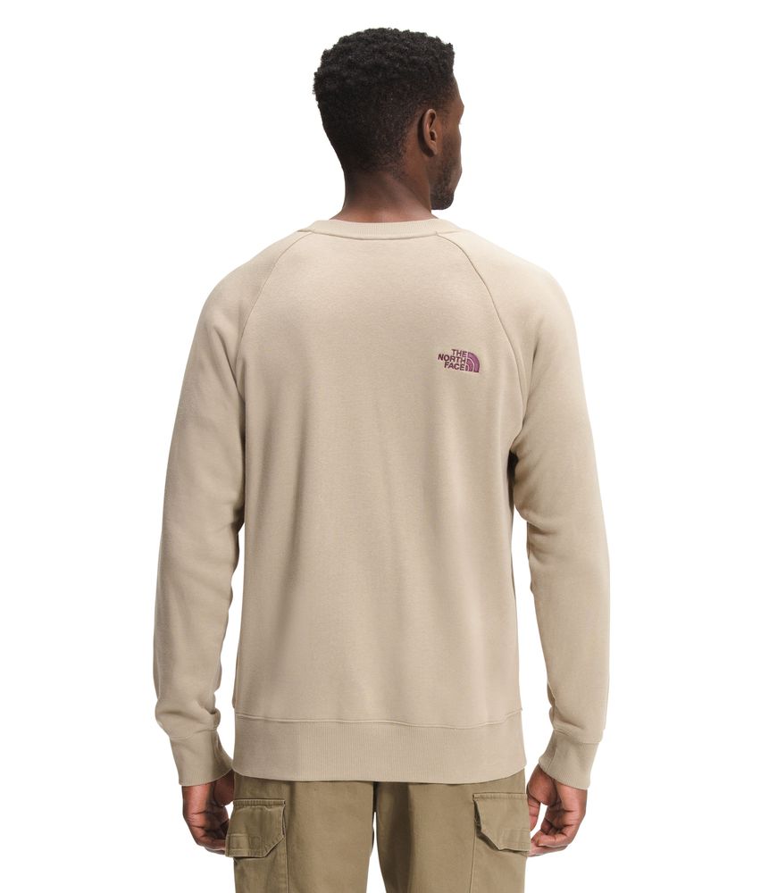 Buzo-Simple-Logo-Crew-Hombre-Beige-The-North-Face
