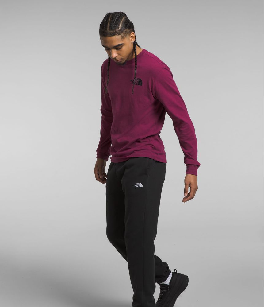 Camiseta-L-S-Sleeve-Hit-Graphic-Tee-Morada-Hombre-The-North-Face