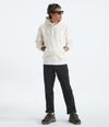 Buzo-Evolution-Box-Nse-Hoodie-Blanco-Hombre-The-North-Face