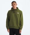 Buzo-Evolution-Box-Camo-Fill-Hoodie-Graphic-Verde-Hombre-The-North-Face
