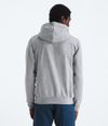 Buzo-Evolution-Tnf-Bear-Hoodie-Graphic-Gris-Hombre-The-North-Face