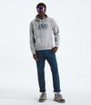 Buzo-Evolution-Tnf-Bear-Hoodie-Graphic-Gris-Hombre-The-North-Face