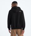 Buzo-Evolution-Tnf-Mtn-Hoodie-Graphic-Negro-Hombre-The-North-Face