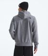 Buzo-Evolution-Tnf-Mtn-Hoodie-Graphic-Gris-Hombre-The-North-Face