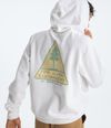 Buzo-Evolution-Mountain-Woods-Hoodie--Graphic-Blanco-Hombre-The-North-Face