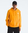 Buzo-Evolution-Box-Nse-Hoodie-Amarillo-Hombre-The-North-Face