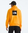 Buzo-Evolution-Box-Nse-Hoodie-Amarillo-Hombre-The-North-Face