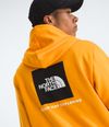 Buzo-Evolution-Box-Nse-Hoodie-Amarillo-Hombre-The-North-Face