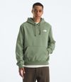 Buzo-Evolution-Box-Nse-Hoodie-Verde-Hombre-The-North-Face