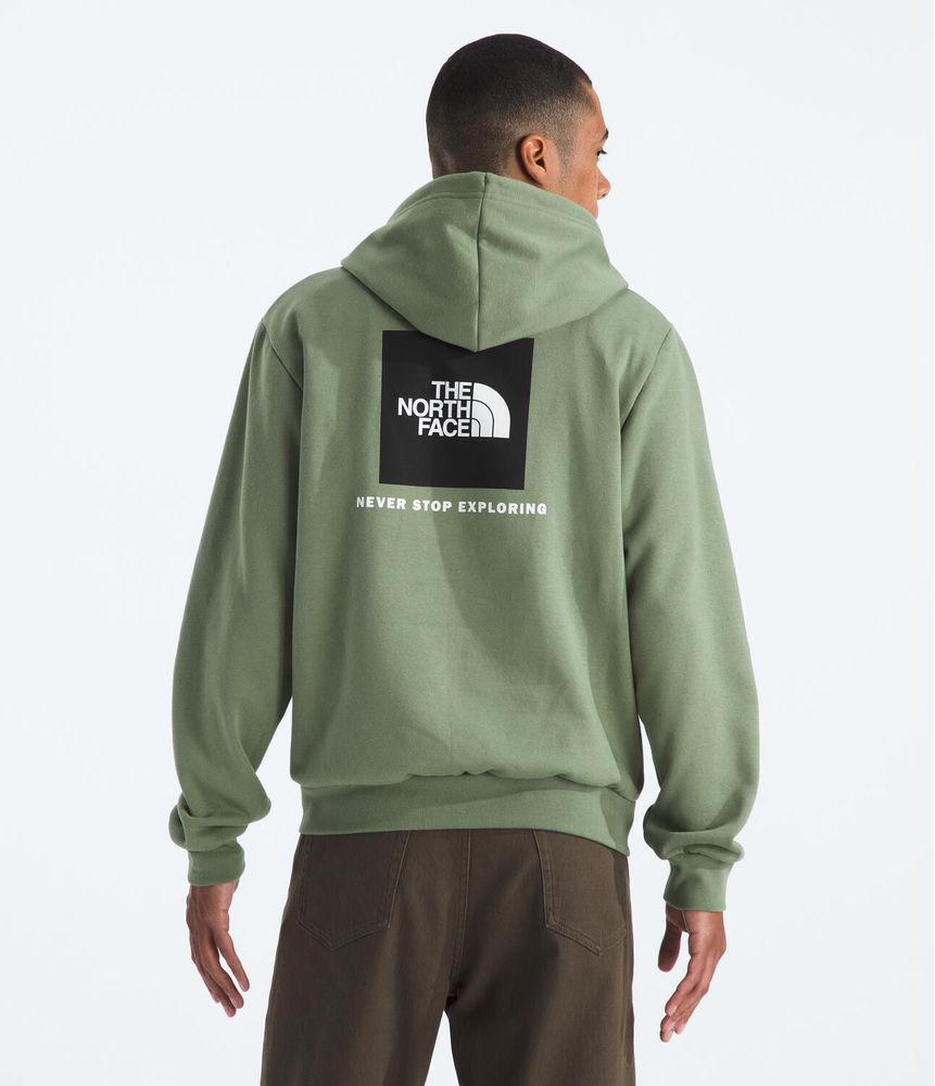 Buzo-Evolution-Box-Nse-Hoodie-Verde-Hombre-The-North-Face