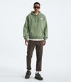Buzo-Evolution-Box-Nse-Hoodie-Verde-Hombre-The-North-Face