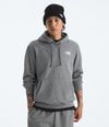 Buzo-Evolution-Box-Nse-Hoodie-Gris-Hombre-The-North-Face