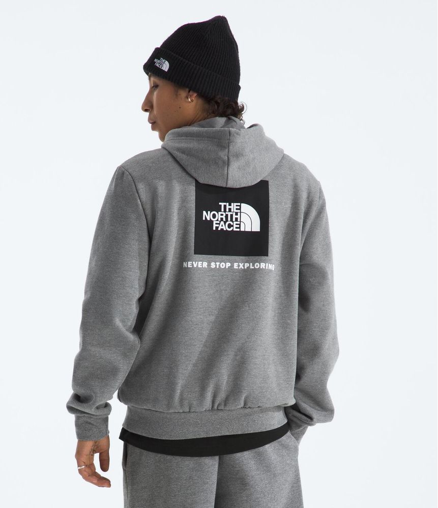Buzo-Evolution-Box-Nse-Hoodie-Gris-Hombre-The-North-Face