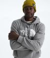 Buzo-Evolution-Half-Dome-Hoodie-Gris-Hombre-The-North-Face