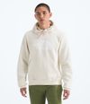 Buzo-Evolution-Half-Dome-Hoodie-Blanco-Hombre-The-North-Face